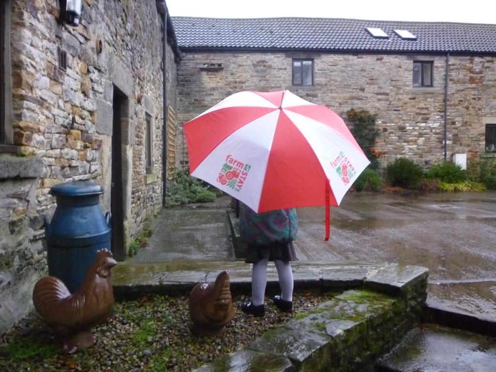Bed and Breakfast Rye Hill Farm Hexham Zewnętrze zdjęcie