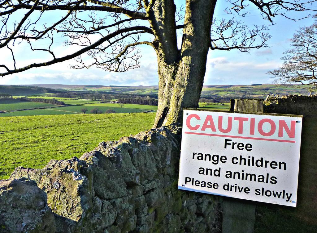 Bed and Breakfast Rye Hill Farm Hexham Zewnętrze zdjęcie