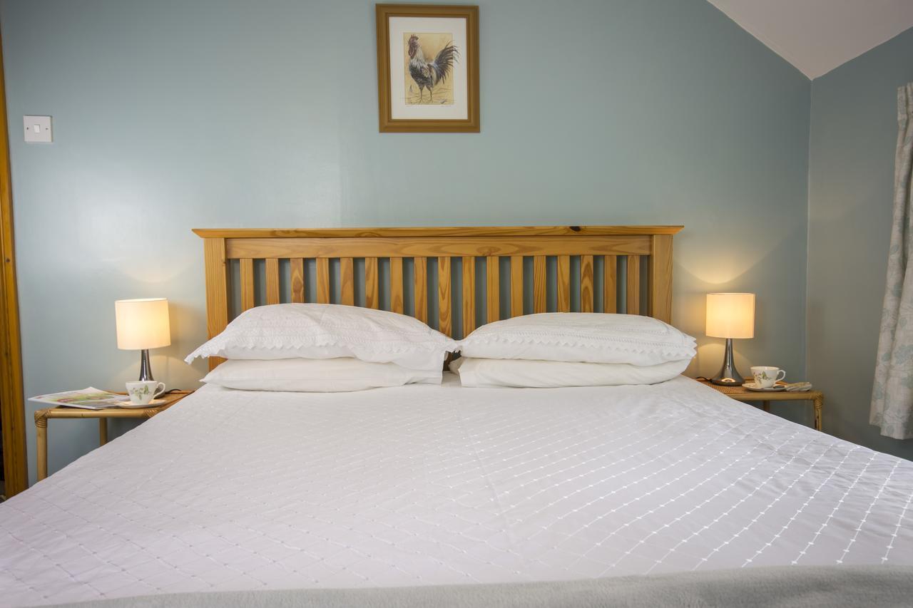 Bed and Breakfast Rye Hill Farm Hexham Zewnętrze zdjęcie