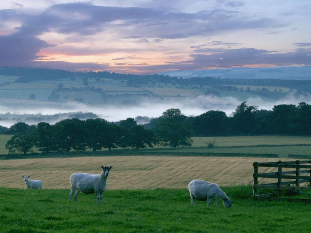 Bed and Breakfast Rye Hill Farm Hexham Zewnętrze zdjęcie